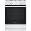 INDESIT - IS67M5PCW/FR/1